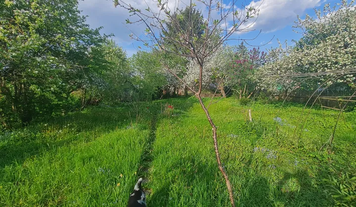 Działka rod Suwałki, ul. Sianożęć