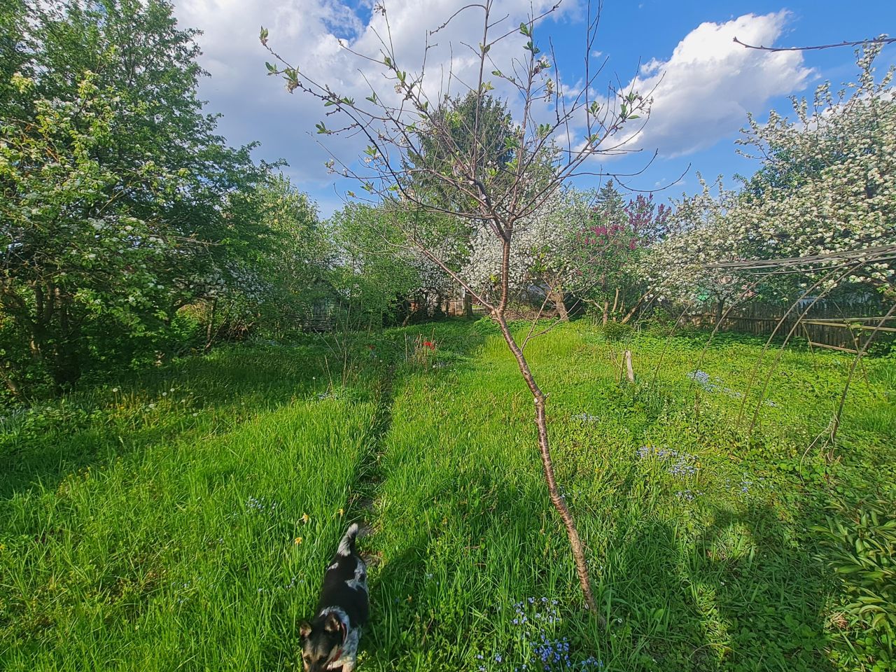 Działka rod Suwałki, ul. Sianożęć