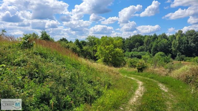 dom wolnostojący, 7 pokoi Morawica. Zdjęcie 21