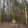 Działka leśna Jawidz Gajówka. Zdjęcie 7