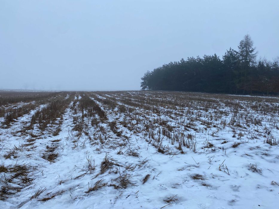 Działka budowlana Mięcierzyn. Zdjęcie 1