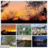 Mieszkanie 4-pokojowe Wrocław Osobowice, ul. Osobowicka. Zdjęcie 2