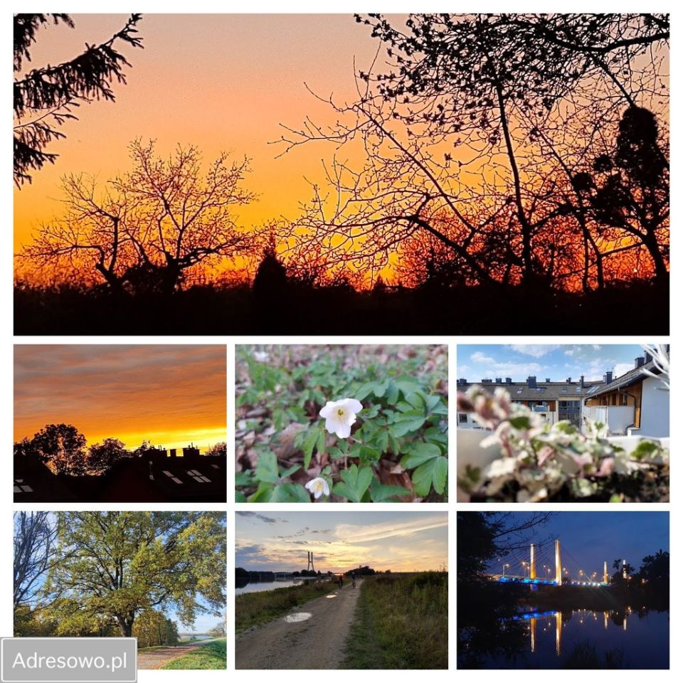 Mieszkanie 4-pokojowe Wrocław Osobowice, ul. Osobowicka. Zdjęcie 3