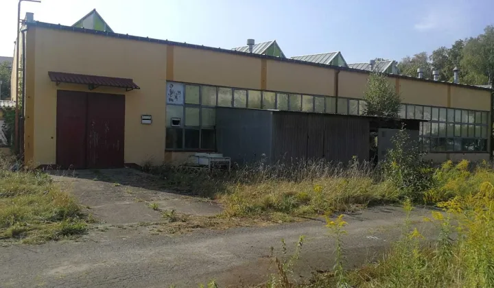 Hala/magazyn Nowy Tomyśl, ul. Wiatrakowa