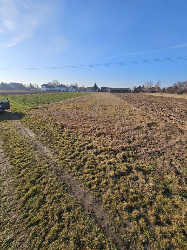 Działka budowlana Lisów. Zdjęcie 7