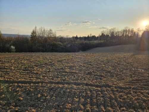 Działka rolno-budowlana Bolechowice. Zdjęcie 1