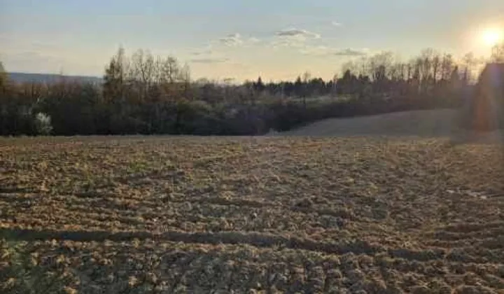 Działka rolno-budowlana Bolechowice