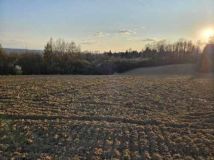 Działka rolno-budowlana Bolechowice