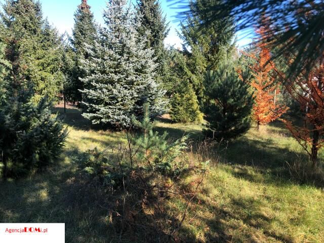 Działka budowlana Marynin. Zdjęcie 8