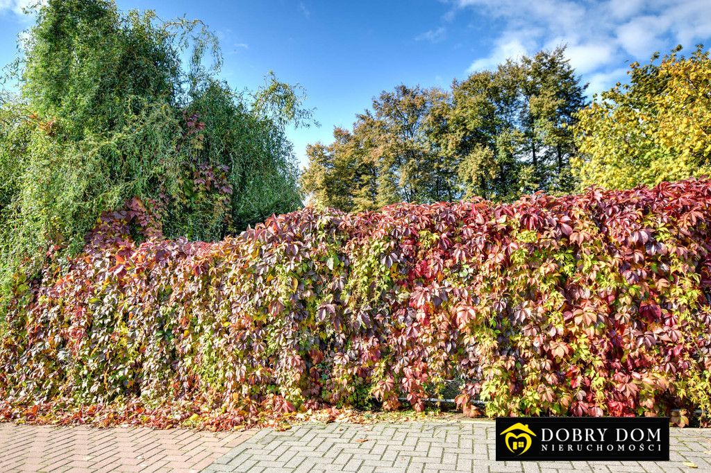 dom wolnostojący, 3 pokoje Łosice. Zdjęcie 10