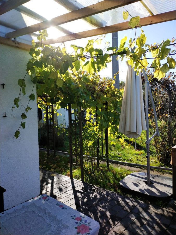 Działka rod Gdańsk Olszynka, ul. Goździkowa. Zdjęcie 18