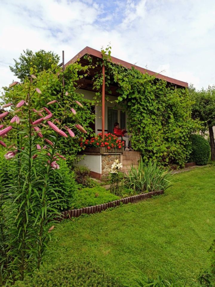 Działka rod Bielsko-Biała, ul. Kolonia. Zdjęcie 4