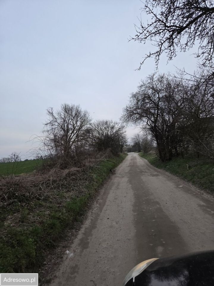 Działka budowlana Lusówko, ul. Jastrzębia. Zdjęcie 11