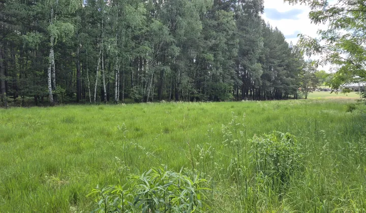 Działka rolno-budowlana Antonielów, brak