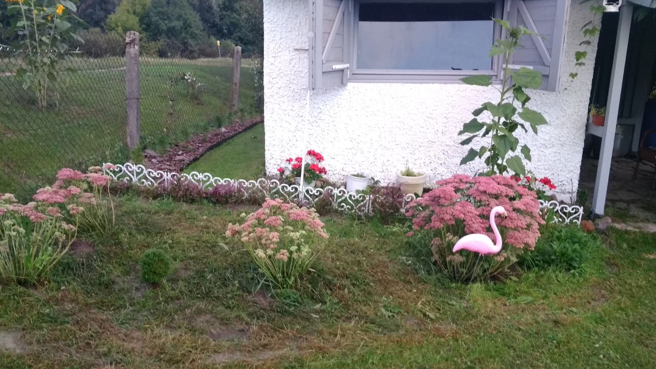 Działka rod Włodawa Zabagonie, ul. Mostowa. Zdjęcie 2