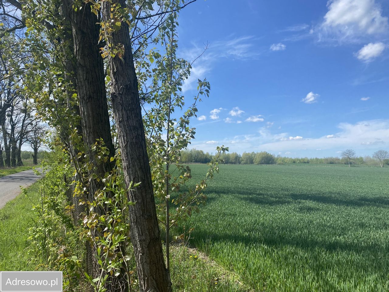 Działka inwestycyjna Topołowa