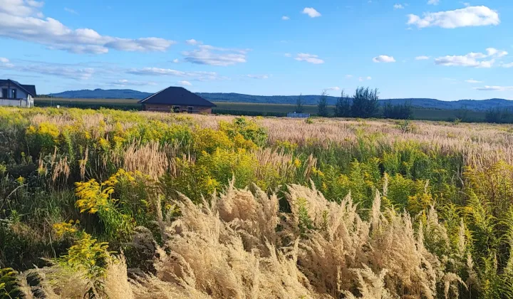 Działka budowlana Krajów