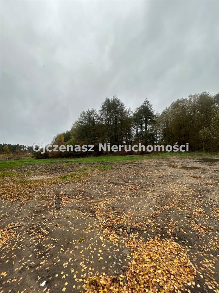 Działka rolna Kruszyn Krajeński. Zdjęcie 7