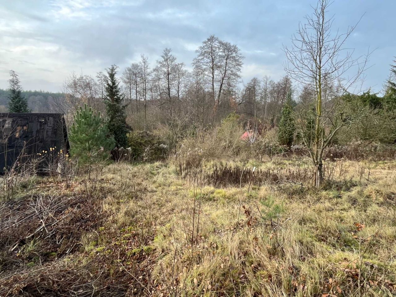 Działka rekreacyjna Nowy Prażmów. Zdjęcie 4