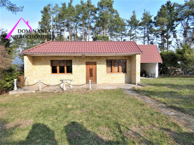 Działka inwestycyjna Sitno. Zdjęcie 5