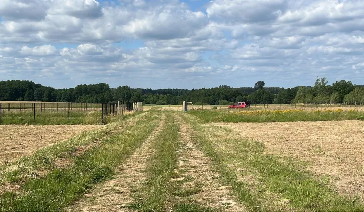 Działka budowlana Lipienice Lipienice Dolne