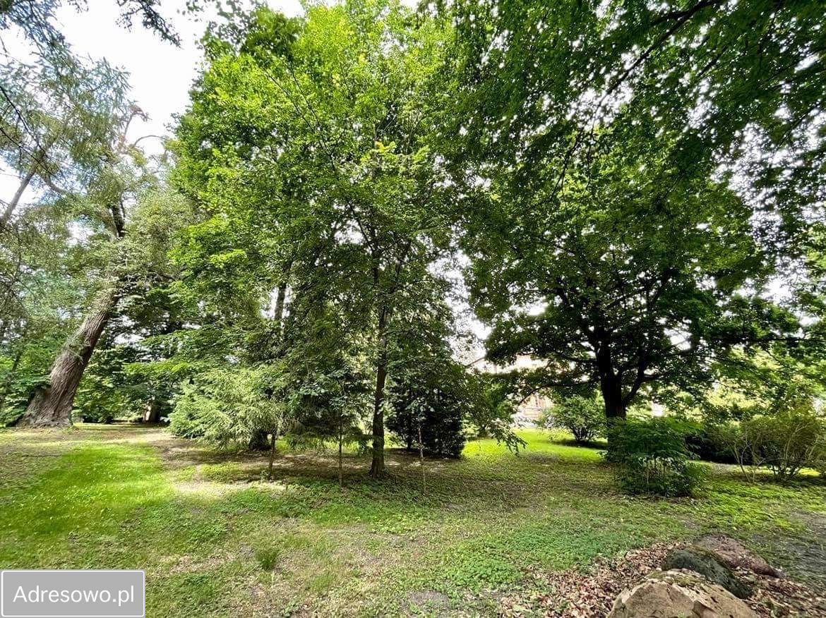 dworek Taszewo. Zdjęcie 7