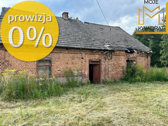 Działka budowlana Kuźnica Kaszewska. Zdjęcie 1