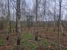 Działka budowlana Kamienica Dolna. Zdjęcie 2