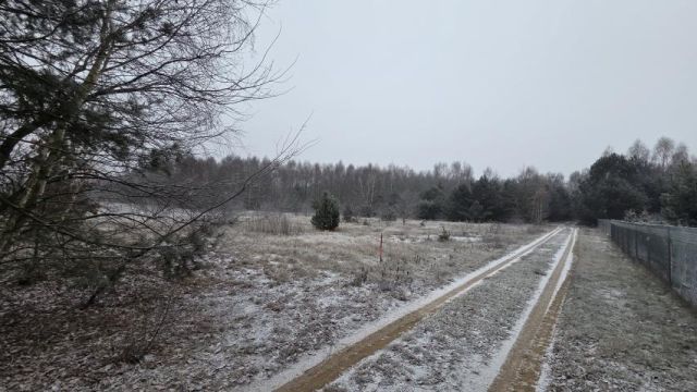 Działka rekreacyjna Osada-Wola. Zdjęcie 5