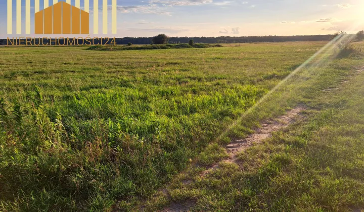 Działka rolna Borki
