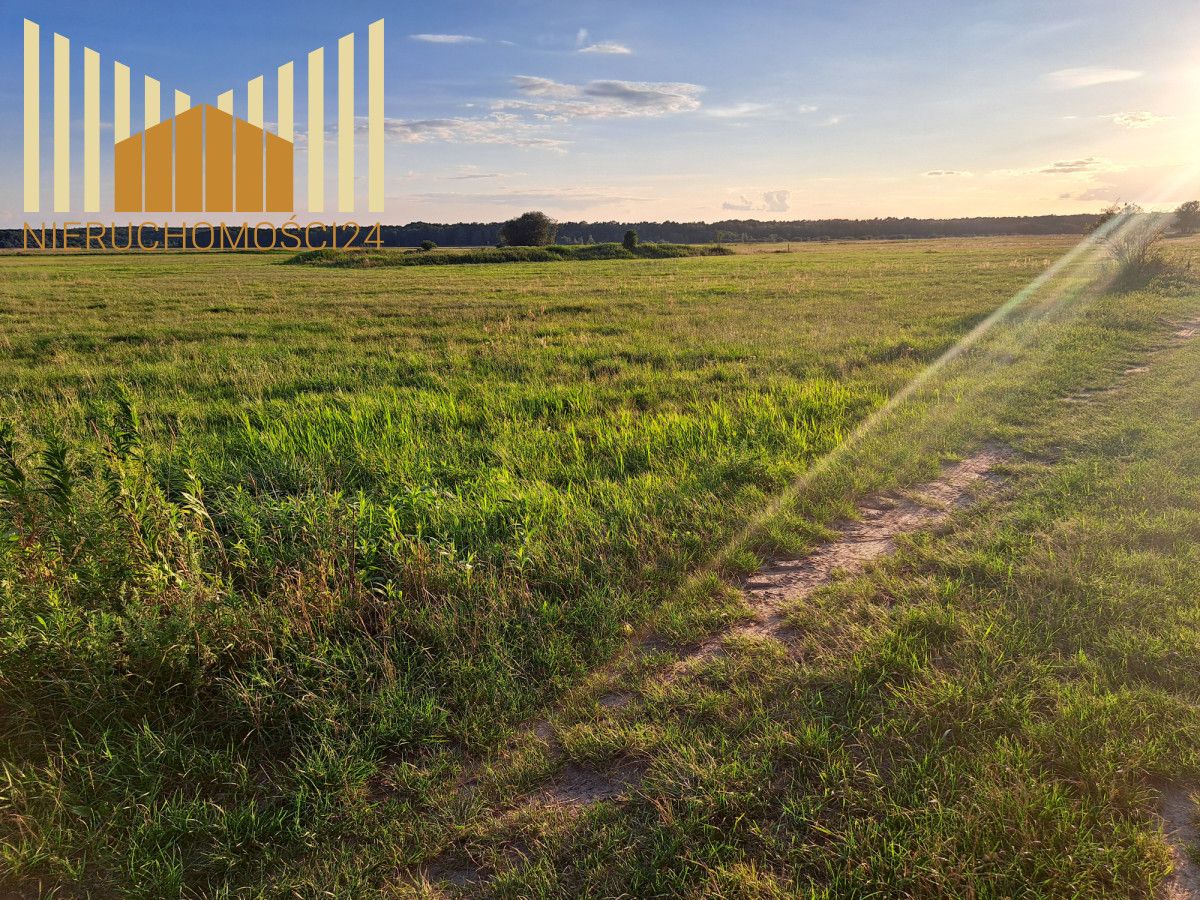 Działka rolna Borki