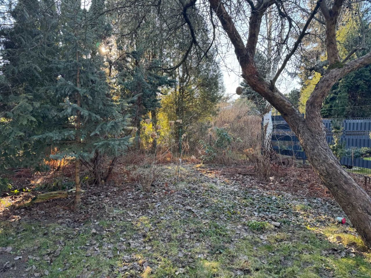 Działka rod Kanie. Zdjęcie 5