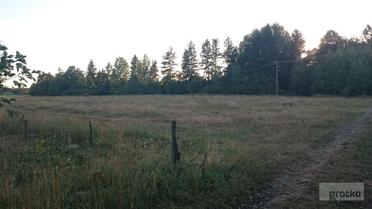 Działka rolna Rafałówka. Zdjęcie 4