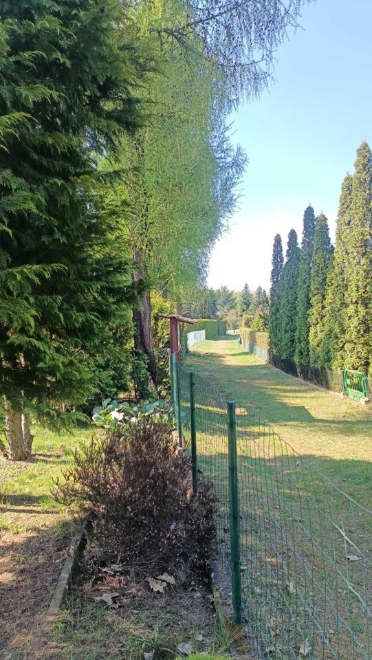 Działka rekreacyjna Łódź, ul. Przylesie. Zdjęcie 7