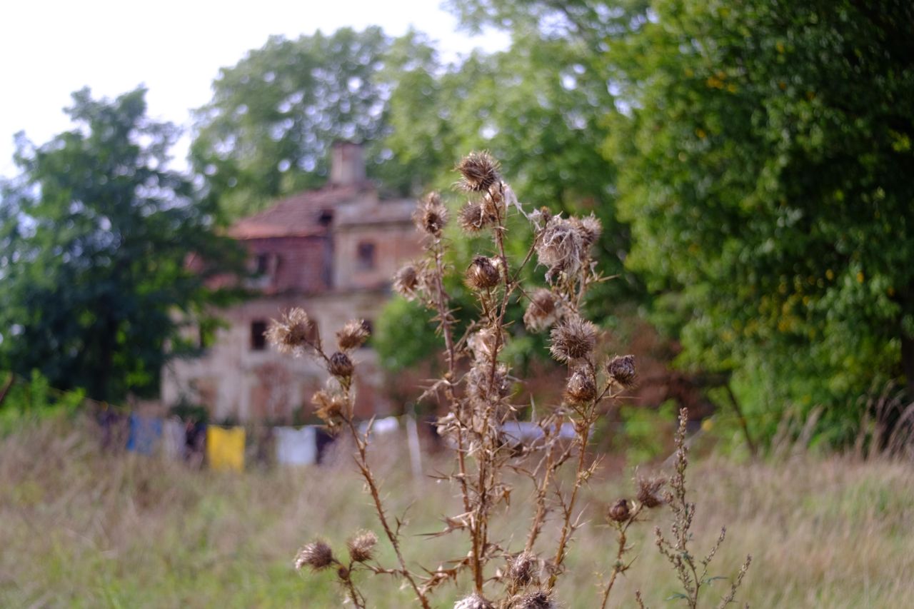 Nieruchomość komercyjna Parchów. Zdjęcie 7