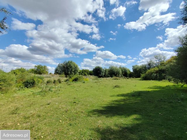Działka budowlana Borek. Zdjęcie 1