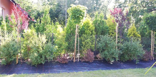 dworek, 5 pokoi Warszawa Wawer, ul. Izbicka. Zdjęcie 6