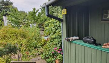 Działka rod Chełm, ul. Żabia