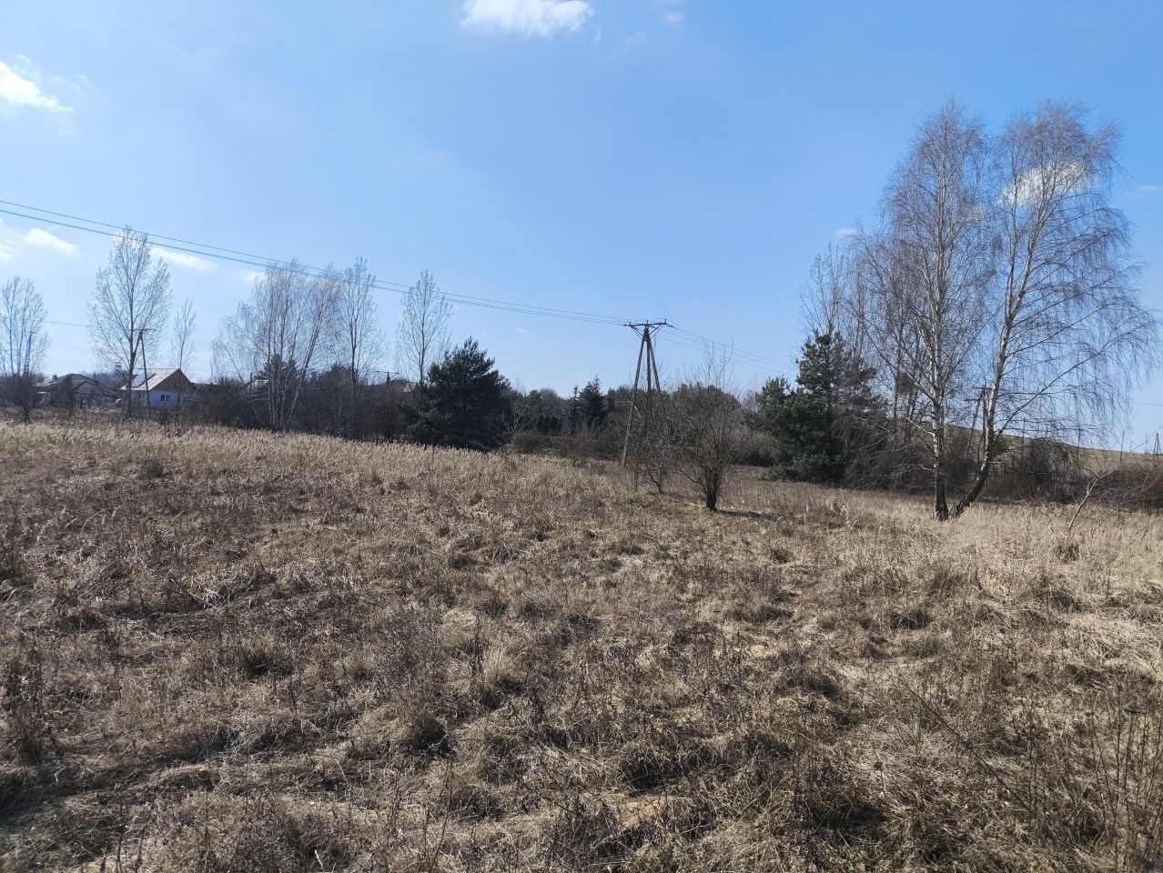 Działka rolno-budowlana Płomykowo. Zdjęcie 3