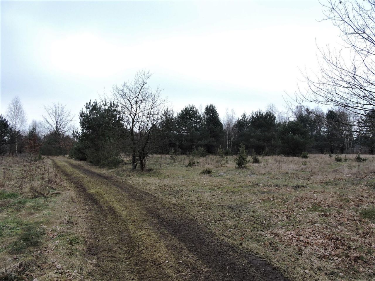 Działka rolna Budziska, ul. Ptasia. Zdjęcie 14