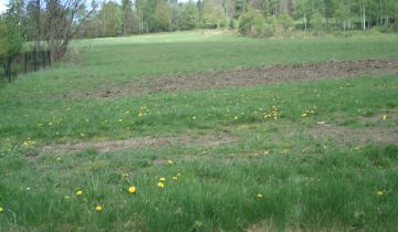 Działka budowlana Milówka, ul. Kolonia Prusów