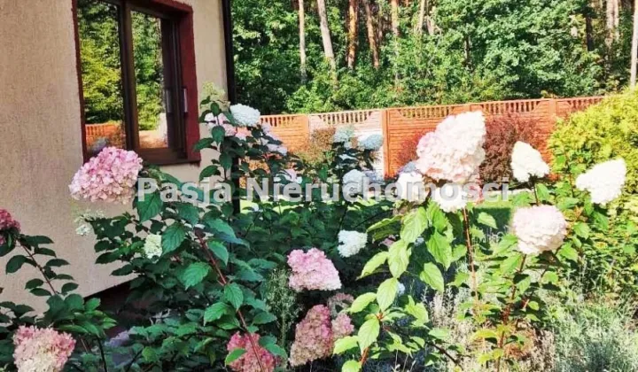 dom wolnostojący, 7 pokoi Cekanowo