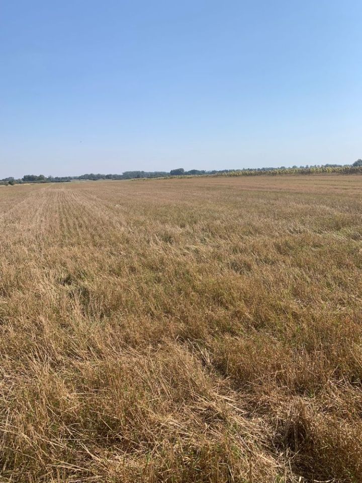 Działka rolna Głazów. Zdjęcie 4