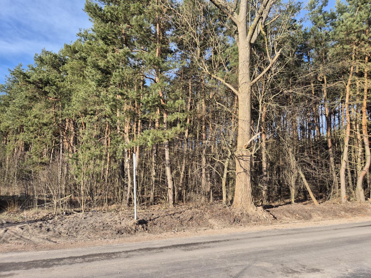 Działka budowlana Grabów nad Pilicą, ul. Kolonia Piaski. Zdjęcie 16