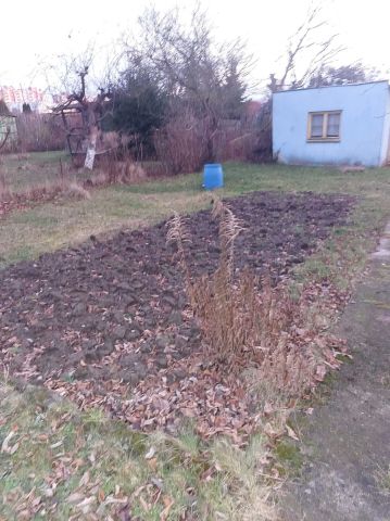 Działka rekreacyjna Tczew, ul. Działkowa. Zdjęcie 1