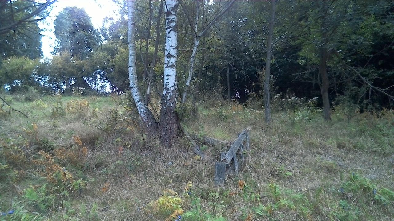 Działka budowlana Zawoja Wełcza