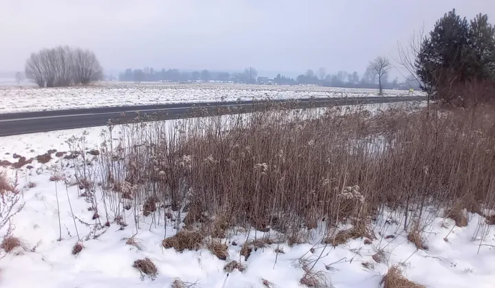 Działka budowlana Pisarzowice