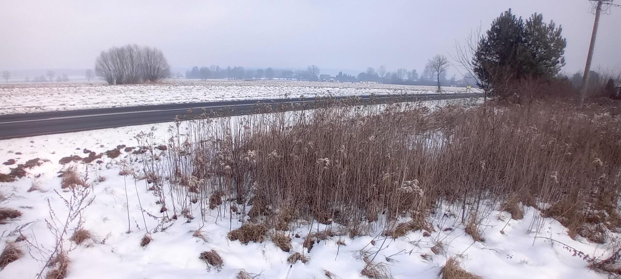 Działka budowlana Pisarzowice. Zdjęcie 2