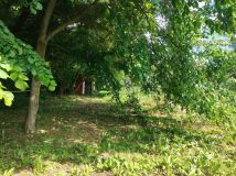 Działka rod Dęblin, ul. Spacerowa. Zdjęcie 2