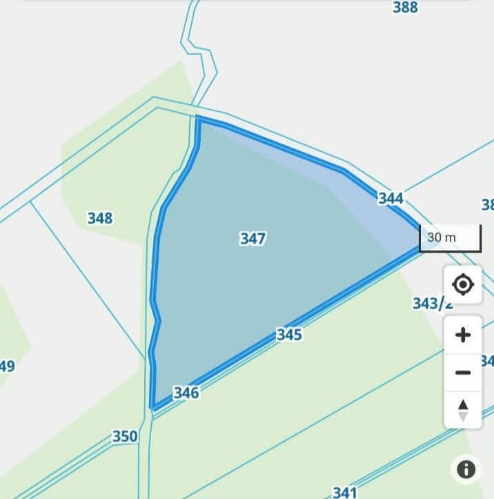 Działka leśna Nowe Grodziczno. Zdjęcie 2